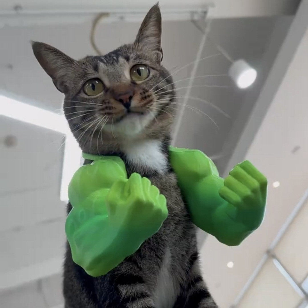 Hilarious Entrance! 3D-Printed 'Hulk Arm' Pet Neck Prop – Instantly Transform Your Pet into a Muscle Beast With a Raised Fist!