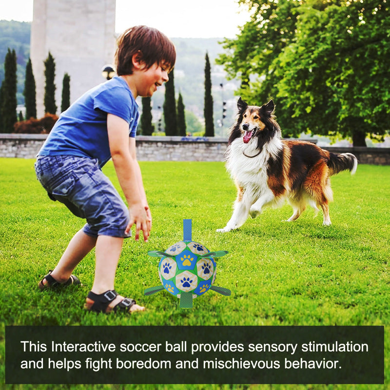 Soccer Ball Dog Toy – Training & Fun for Small Dogs