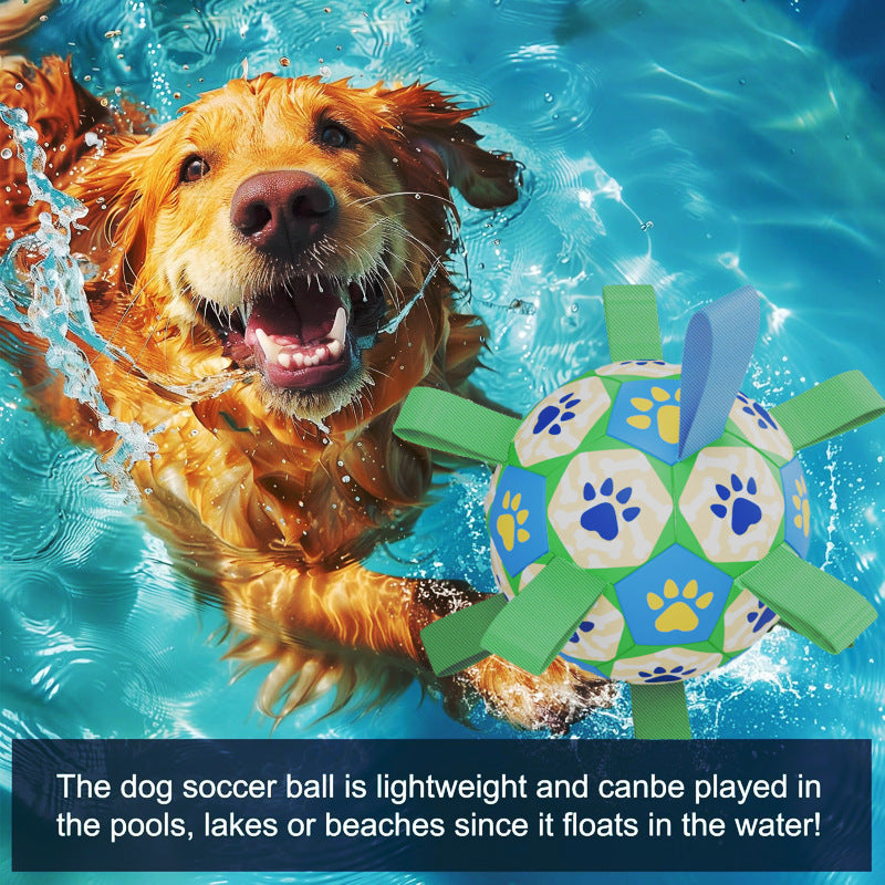 Soccer Ball Dog Toy – Training & Fun for Small Dogs