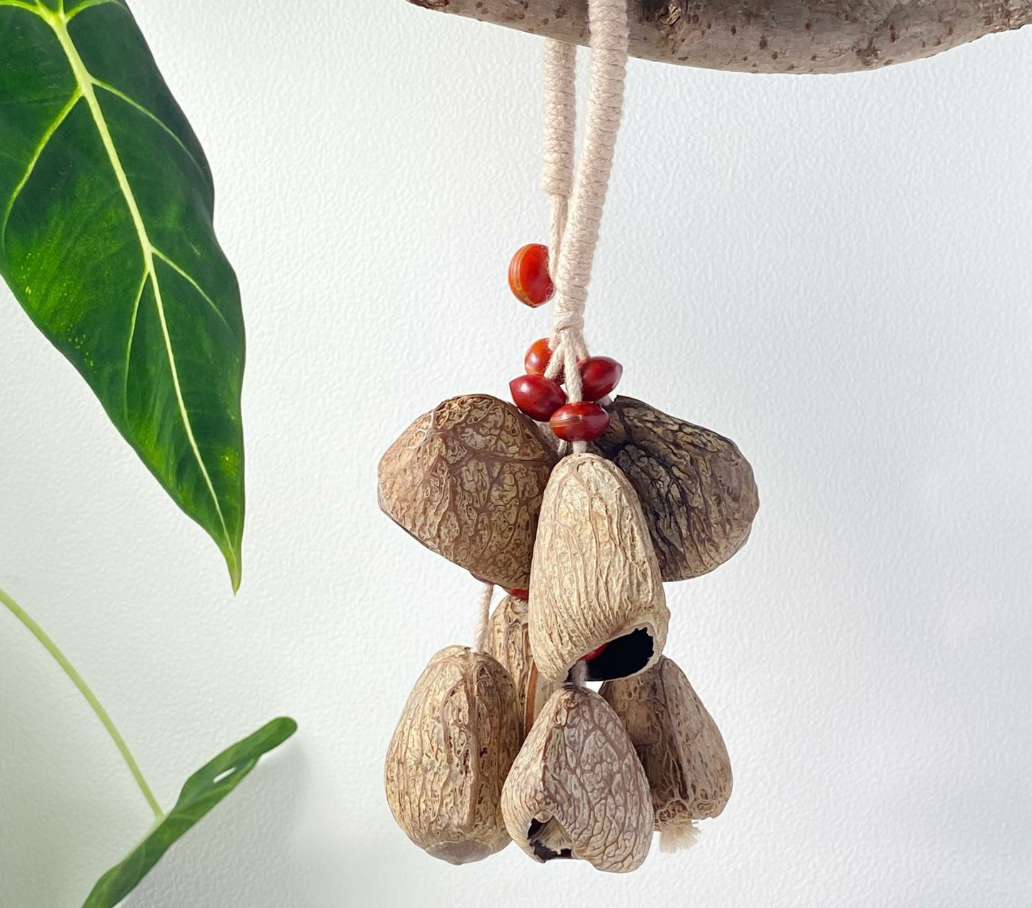 Healing Shell DIY Wind Chime – Natural Calming Hanging Decor