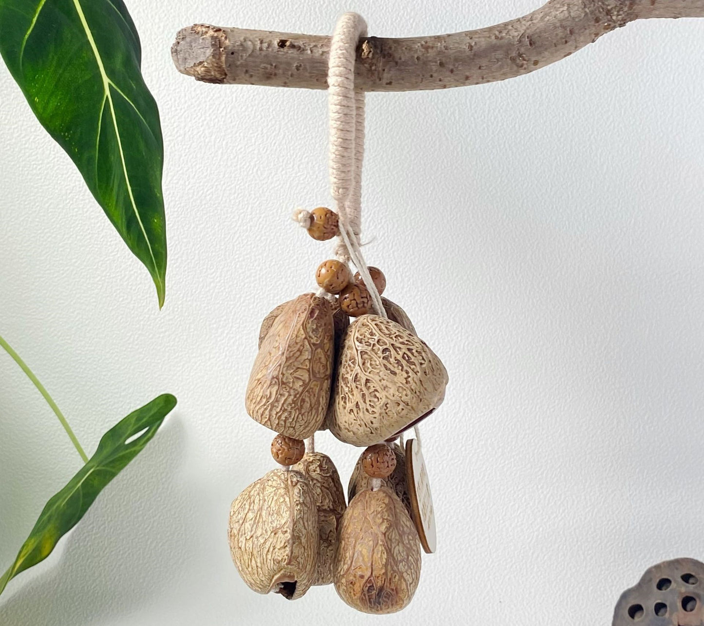 Healing Shell DIY Wind Chime – Natural Calming Hanging Decor