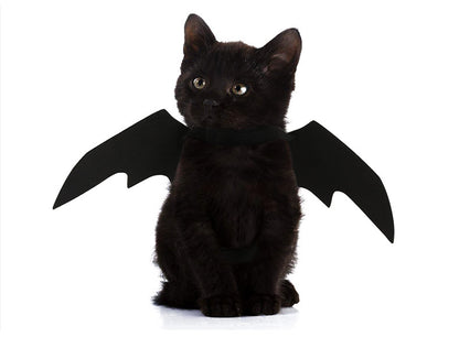Halloween Bat Wings Costume for Pets