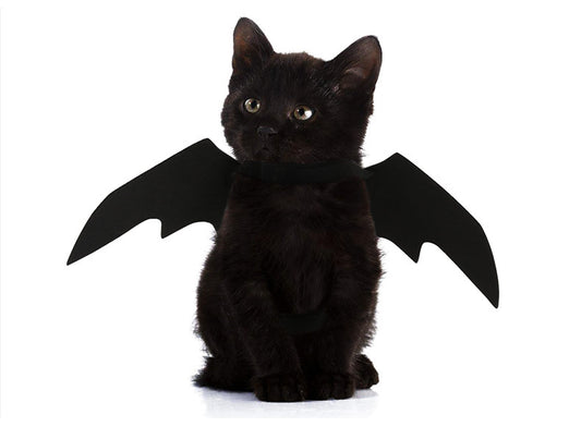 Halloween Bat Wings Costume for Pets